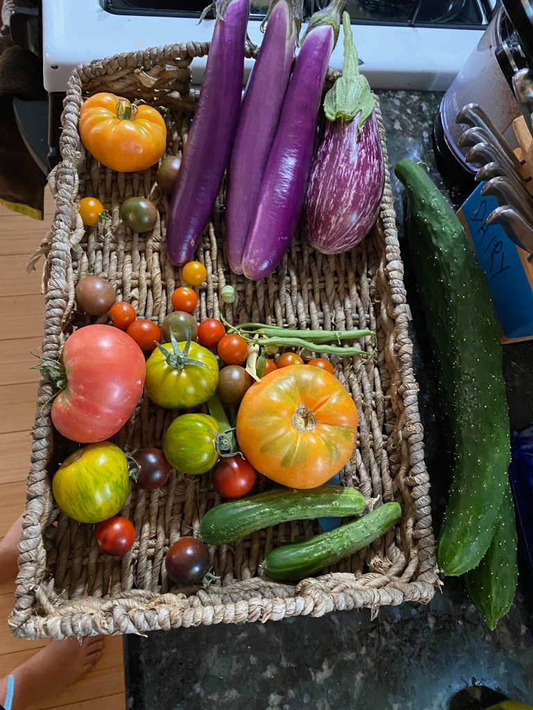 This is a picture of five or six kinds of tomatoes, two kinds of beans, two kinds of eggplants, and two kinds of cucumbers that I harvested from my garden in a single day in July. The harvest sits in a worn basket on a granite countertop. Bare feet are visible in the photo, on the left edge.